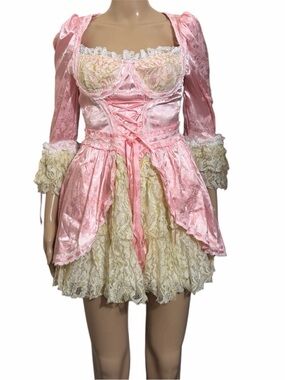 Dolls Kill Pink Lace Corset Mini Dress Coquette Fairycore Rococo